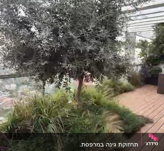 עץ ופרחים בגינה על דק עץ
